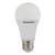 Transtec LED Light -Warm White-3 watt-E27 (Pach/Screw Type)